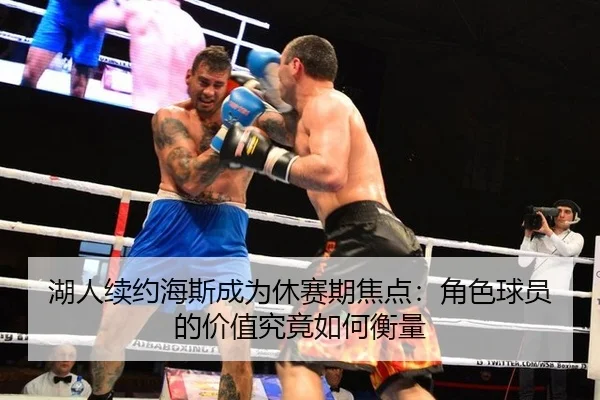 湖人续约海斯成为休赛期焦点：角色球员的价值究竟如何衡量（MILE）